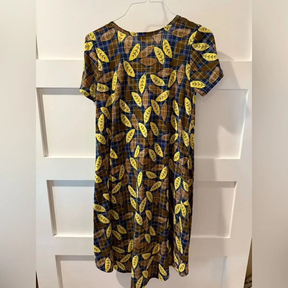LuLaRoe excellent size